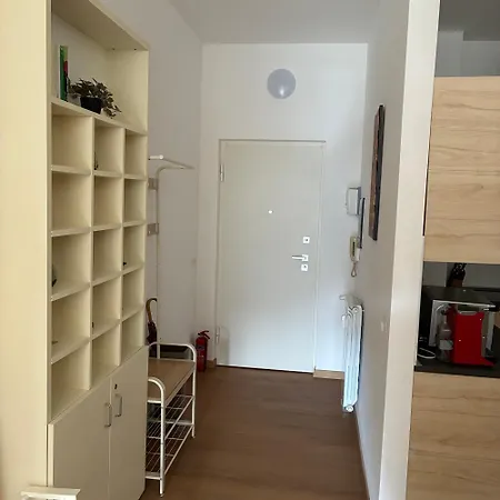 Bagaini Urban Flat *